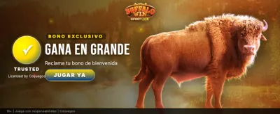 Gana en grande con Royalbet